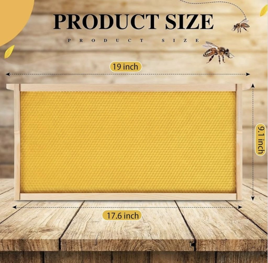 honey bee frames with wax foundation