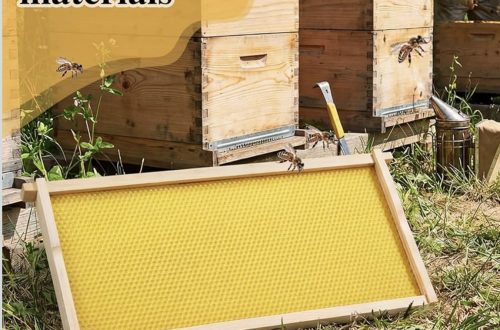 honey bee frames with wax foundation