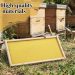 honey bee frames with wax foundation