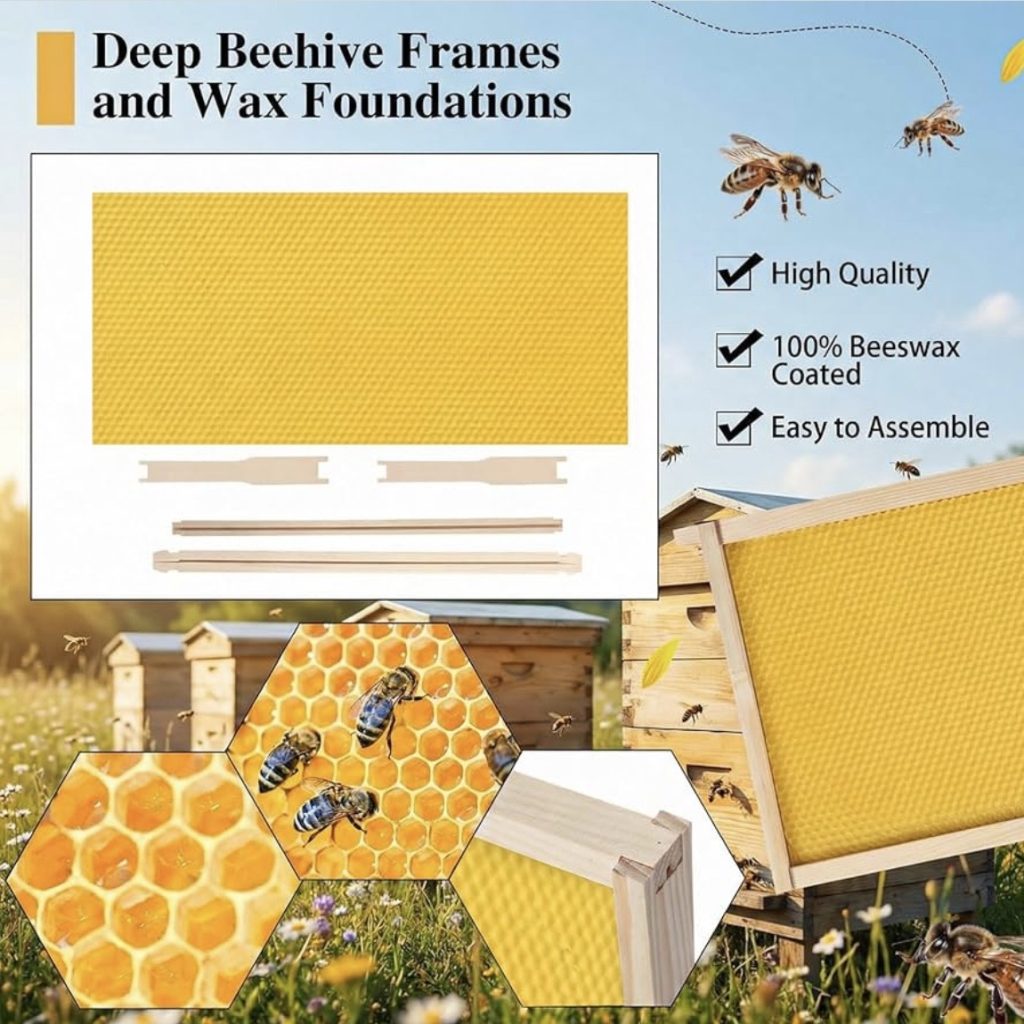 honey bee frames with wax foundation