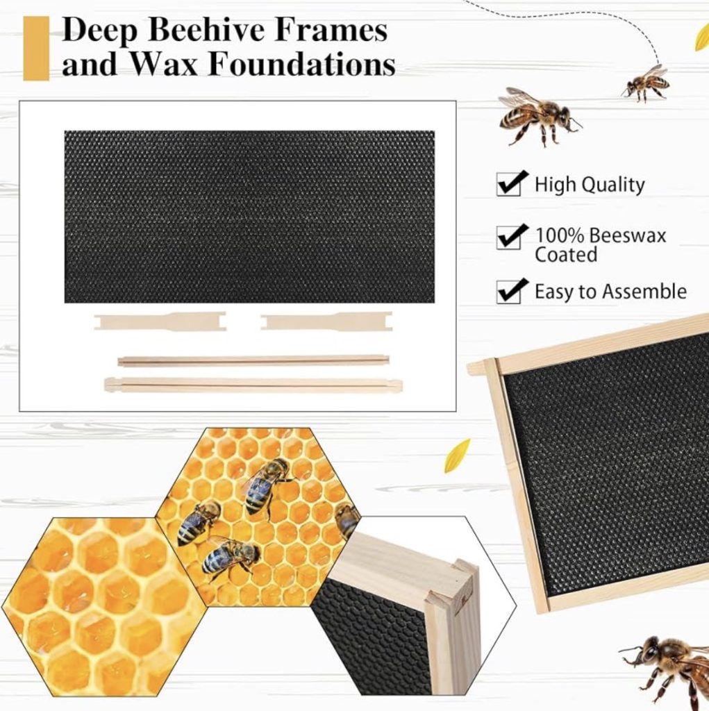honey bee frames with wax foundation